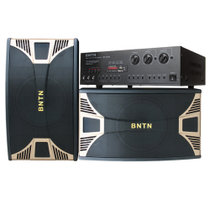 奔腾（BNTN）8300功放配BTK-12专业音箱 会议音响 家庭影院（音响 音箱 KTV舞台音响套装 大功率功放专业卡拉OK组合音箱）（黑色）